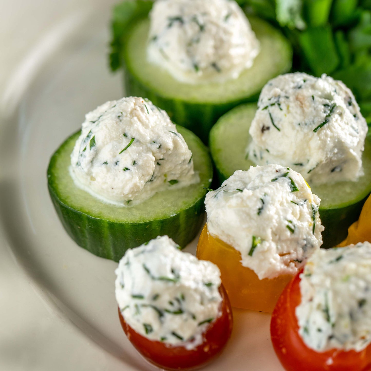 Stuffed Vegetables w/ Herb Farmers Cheese